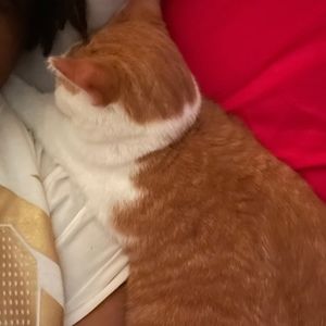 Meet your Posher, Taisha